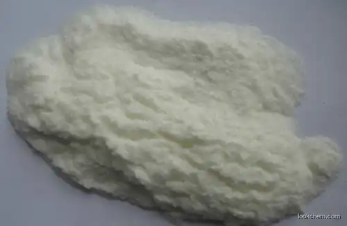 White to light yellow powder CAS NO 2444-36-2 FACTORY SUPPLY 2-(2-chlorophenyl)acetic acid