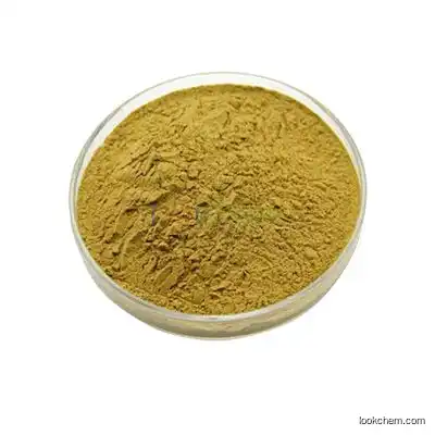 Natural Beta-Sitosterol 5% Corn Silk Extract 10:1 CAS NO.:83-46-5