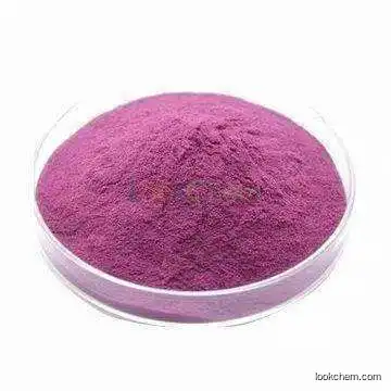 High Quality Blueberry extract