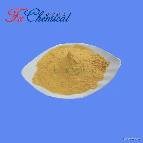 High quality pharmaceutical grade Xanthan gum Cas 11138-66-2 with good price