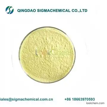 Manufacturer high quality Quercetin powder