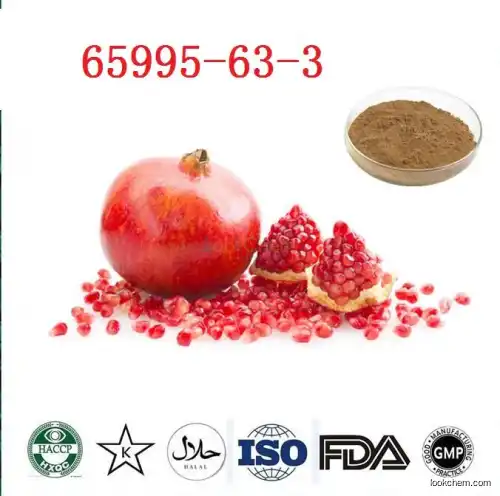 Medicine Powder CAS 65995-63-3 pomegranate peel extract Punicalagin 98%