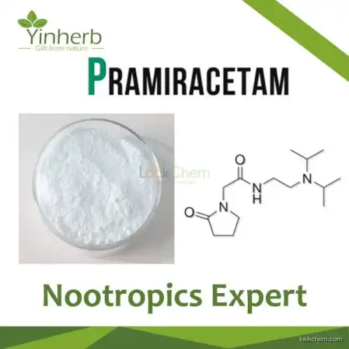 Anti-Amnesia Pramiracetam Nootropics powder with High Purity