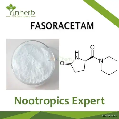 Fasoracetam Nootropics powder(110958-19-5)