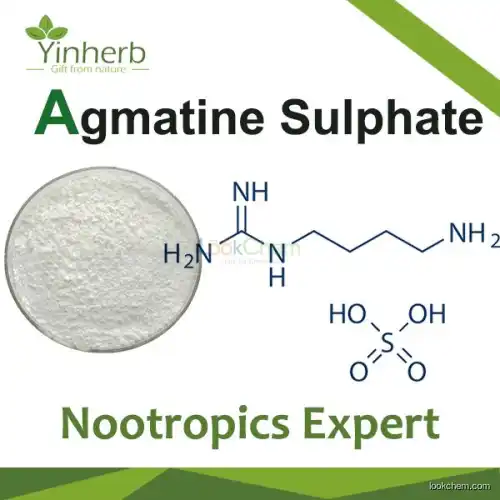 High Purity Agmatine powder for Nutritional supplements