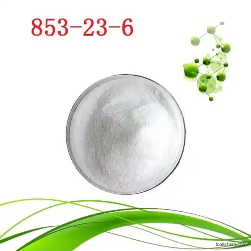 Pharmaceutical Intermediates Epiandrosterone Acetate Prasterone Acetate CAS 853-23-6