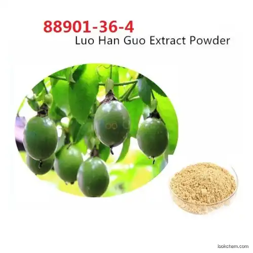 CAS NO 88901-36-4 Lo Han Guo Extract Mogroside 90% 98% Luo Han Guo Powder for Food Additives