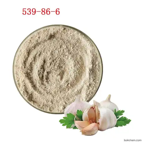 Hot selling garlic dry extract supplements