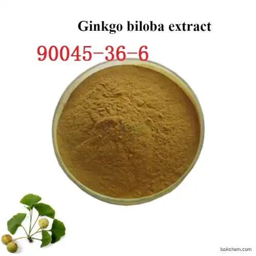 Ginkgo biloba extract supplier in China