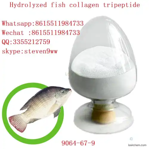 Hydrolyzed fish collagen tripeptide