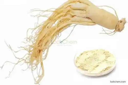 80% UV Panaxoside Ginseng Root Extract Ginseng Products