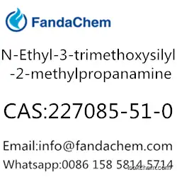 N-Ethyl-3-trimethoxysilyl-2-methylpropanamine,cas:227085-51-0 from fandachem