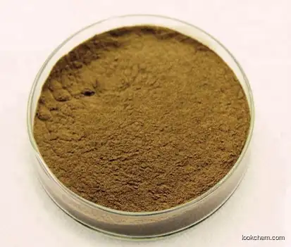 Wholesale Epimedium Leaf Extract / Horny Goat Weed Exarct 98% Icariin Powder