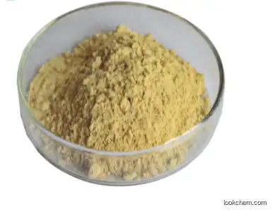 Wholesale Epimedium Leaf Extract / Horny Goat Weed Exarct 20% 40% Icariin Powder