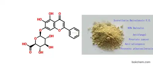 Anti-oxidant And Antifungal Activity 98% Pterostilbene,CAS No 537-42-8