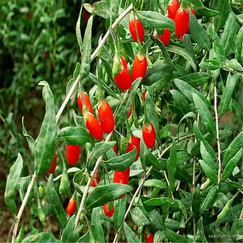 good quality goji extract(107-43-7)