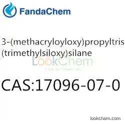 (3-Methacryloyloxypropyl)tris(trimethylsiloxy)silane CAS: 17096-07-0 from FandaChem