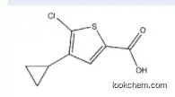 5-chloro-4-cyclopropylthiophene-2-carboxylic acid