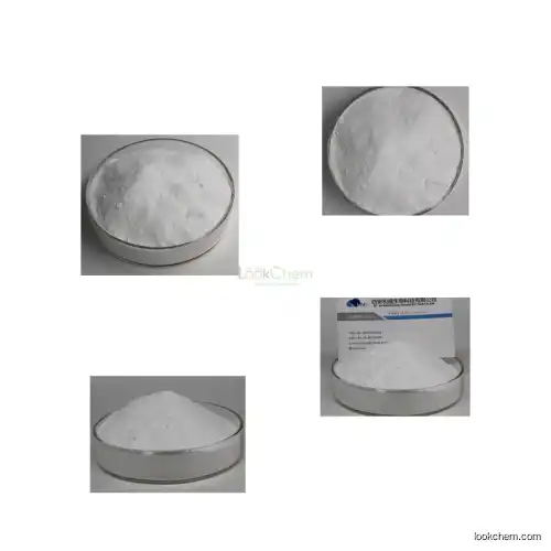 GMP 98% min Metronidazole powder with factory price