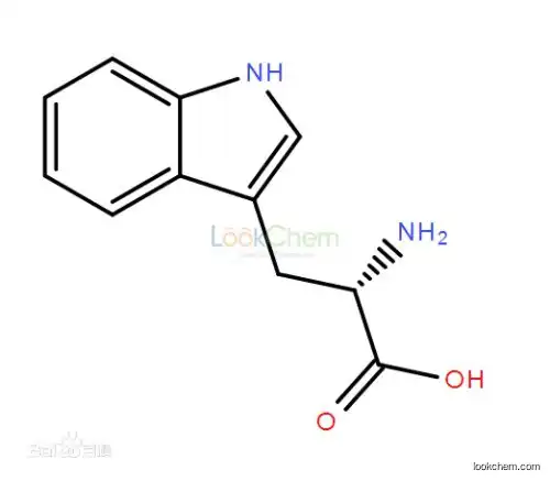 L-Tryptophane Chinese manufacturer best quanlity low price