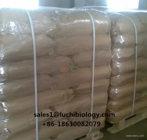 Food Grade Diatomite/Diatomaceous Earth for Filter Media