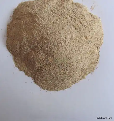 cold water enzyme in powder form