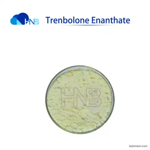 Trenbolone Enanthate Tren E Powder 99% CAS No 10161-33-8