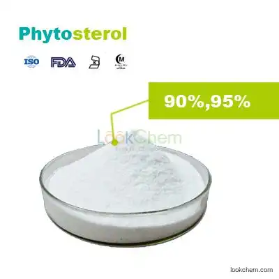 Phytosterol  manufacturer