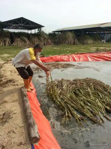 Flax degumming enzyme for purify hemp