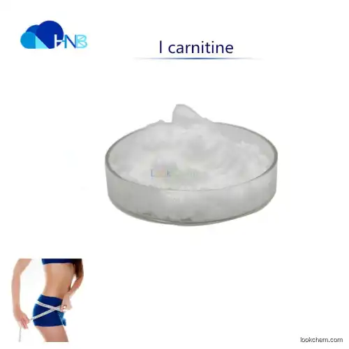 99% Pure L-Carnitine powder for losing weight