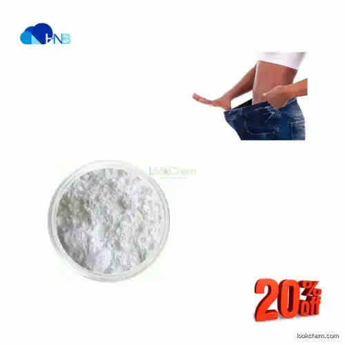 99% Pure L-Carnitine powder for losing weight