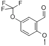 2-Methoxy-5-(trifluoroMethoxy)benzaldehyde