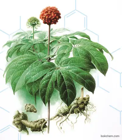 Radix Notoginseng Extract