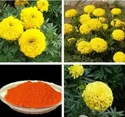 Beat price/Marigold Extract Lutein CAS NO.127-40-2