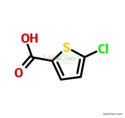 Chinese top supplier 5-Chlorothiophene-2-carboxylic acid with lower price
