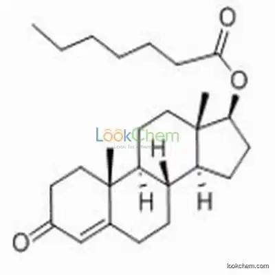 High purity/lower price Testosterone enanthate in Men's sexual performance Supplement