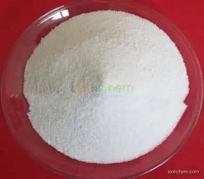 Chitosan CAS NO.9012-76-4  manufacturer