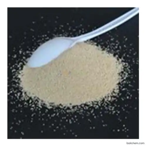 industry enzymes