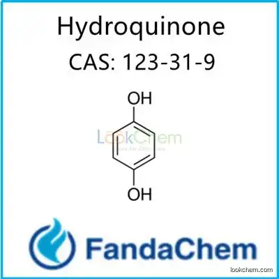 Hydroquinone; HQ;1,4-Benzenediol CAS: 123-31-9 from FandaChem