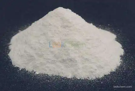 Titanium dioxide CAS NO:13463-67-7