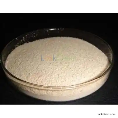 Catalase powder