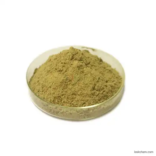 CAS No. 85507-69-3 A loe Vera Gel Freeze Dried Powder / Aloe Vera Extract CAS NO.85507-69-3