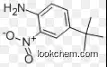 Benzenamine, 4-(1,1-dimethylethyl)-2-nitro-Manufacturer/High quality/Best price/In stock CAS NO.6310-19-6