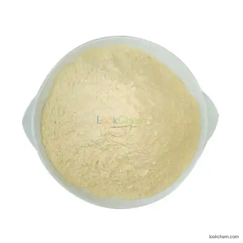 Leather Soaking Enzymes used in leather processing plant