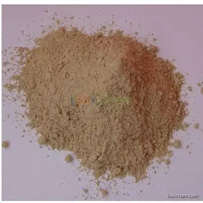 original polish enzyme