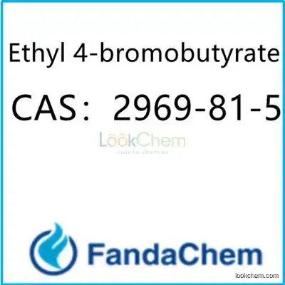 Ethyl 4-bromobutyrate CAS：2969-81-5 from FandaChem