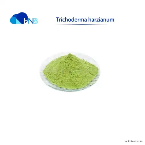 High purity Trichoderma Harzianum in stock