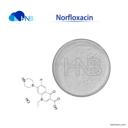 Factory supply best price Norfloxacin