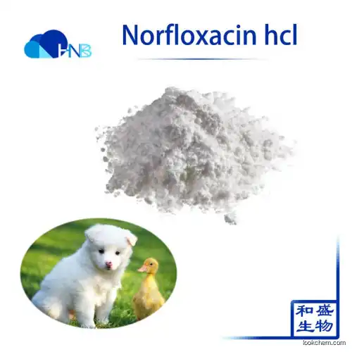 Factory supply best price Norfloxacin