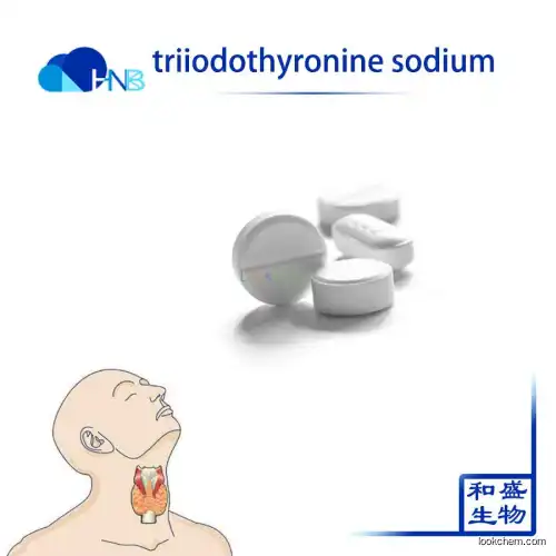 Wholesale CAS 55-06-1 Liothyronine Sodium T3